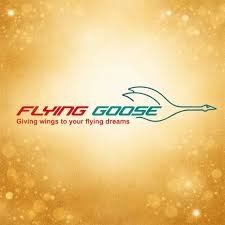 Flying goose Logo